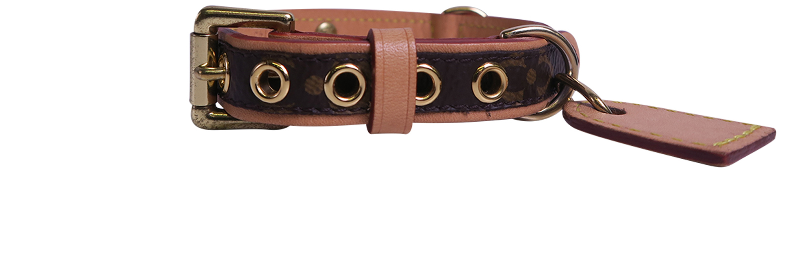 baxter dog collar price